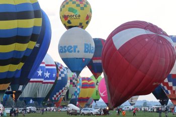 310001942 591825889293514 3289663427730801518 n