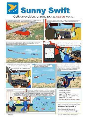 Sunny Swift 21 Collision avoidance