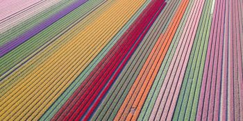 Erwin doorn t67 W9g H Hl1 Q unsplash