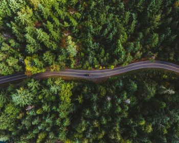 Bobby Stevenson / unsplash