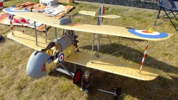 40044345 2126817877534991 5158487745219264512 n