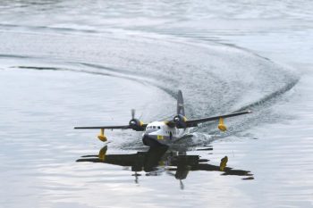 0f596fef b649 4638 b1c7 9fe1e4ff46e6