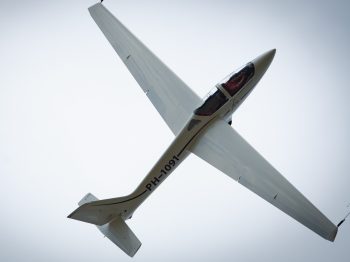 MDM1 Fox PH 1091