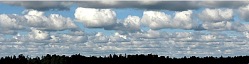 Cumulus